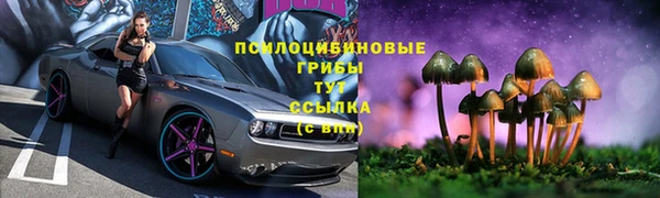 твердый Балахна