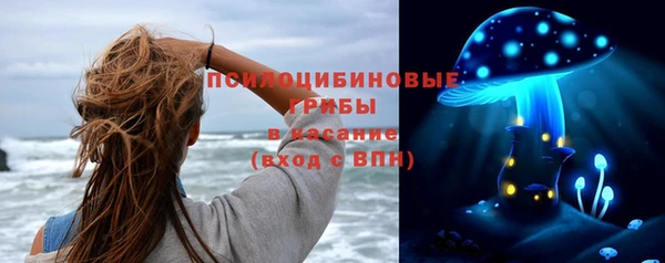 твердый Балахна