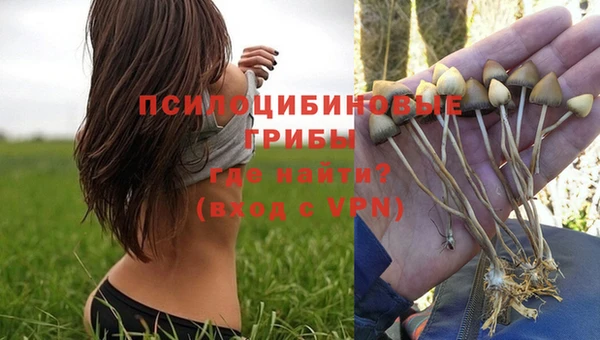 твердый Балахна