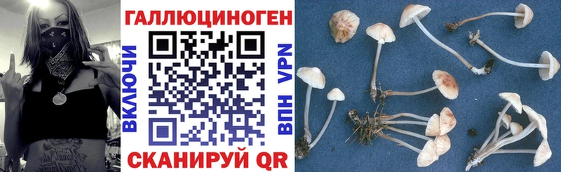 Псилоцибиновые грибы ЛСД  дарк нет формула  Спасск-Дальний 